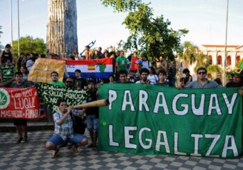 Paraguay, mayor productor de marihuana de la región, debate su uso medicinal