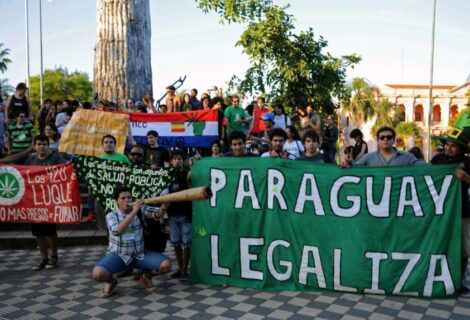 Paraguay, mayor productor de marihuana de la región, debate su uso medicinal