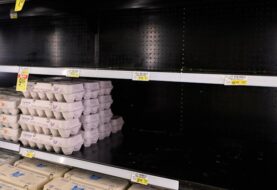 EE.UU. invertirá 1.000 millones de dólares en combatir la gripe aviar e importar huevos