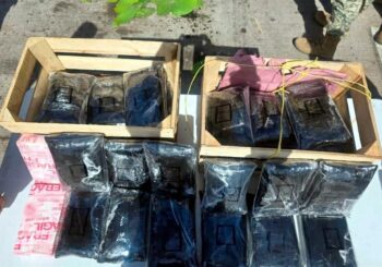México decomisa un cargamento de 275.000 pastillas de fentanilo oculto en carga de nopales