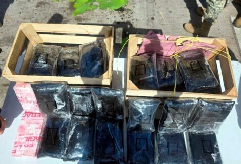 México decomisa un cargamento de 275.000 pastillas de fentanilo oculto en carga de nopales